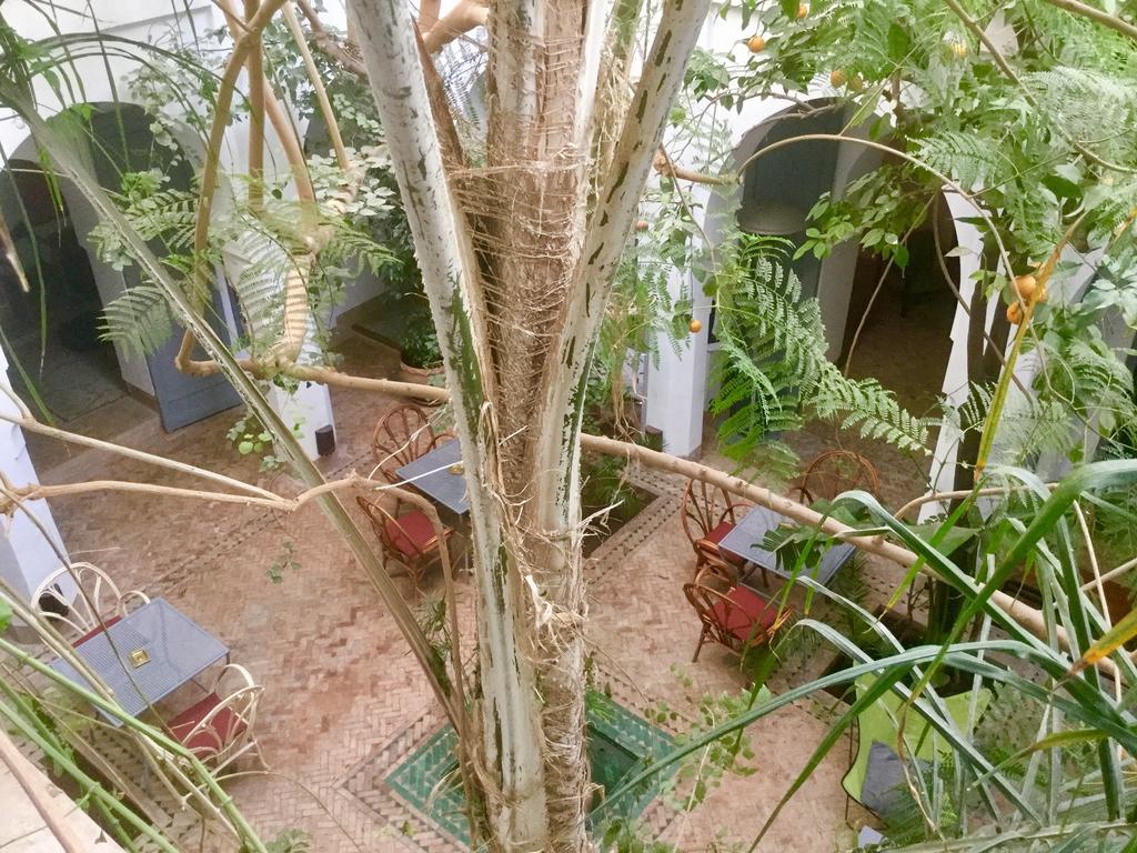Dar Binebine Hotel Marrakesh Luaran gambar